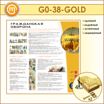    (GO-38-GOLD)